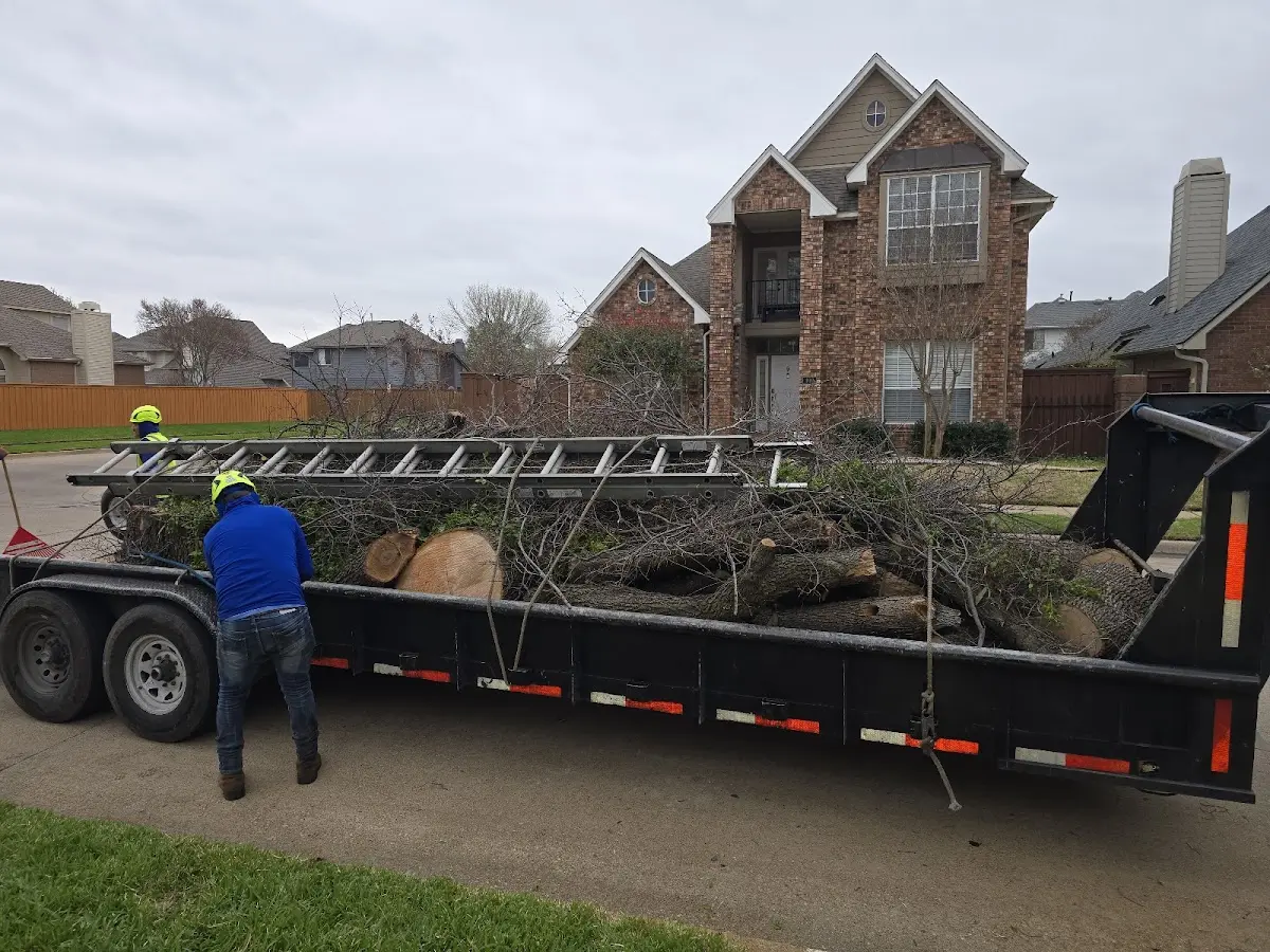 Expert Tree Fertilization with proper safety equipment in Alto